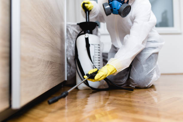 Best Mosquito Control Services  in New Hope, MN
