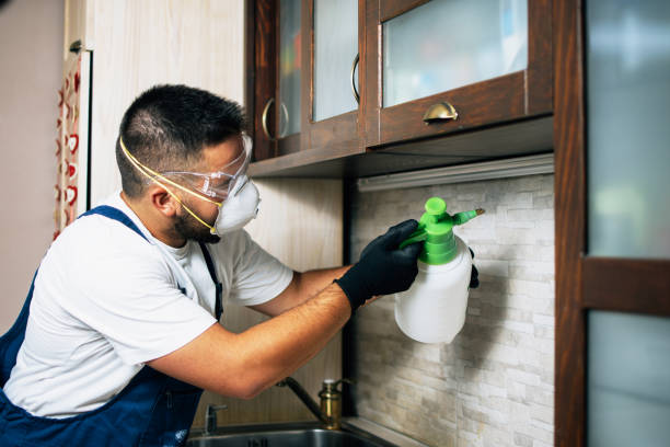 Best Exterminator Services  in New Hope, MN