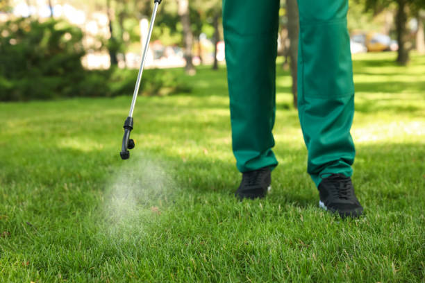 Best Local Pest Control Services  in New Hope, MN