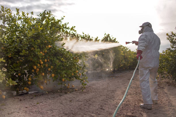 Best Insect Control  in New Hope, MN