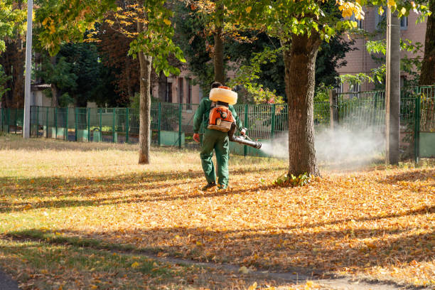 Best Best Pest Control Companies  in New Hope, MN